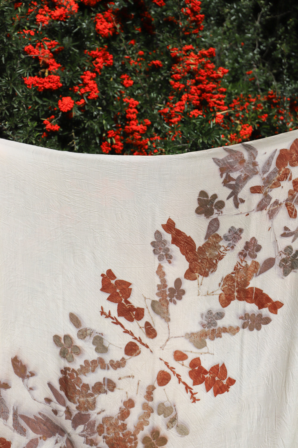 Maxi Carré Lana - Eco stampata